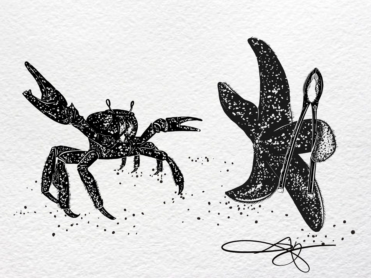 Starfish No.1